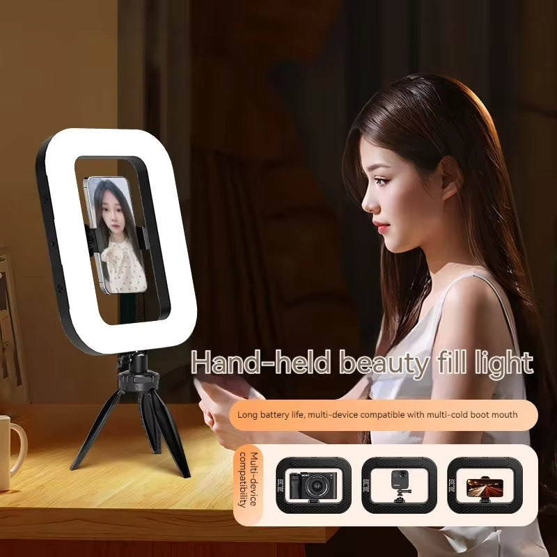 LumiFrame pro