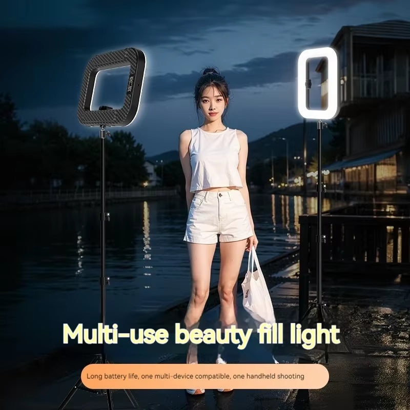 LumiFrame pro