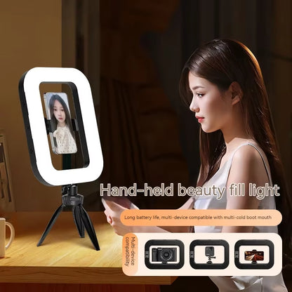 LumiFrame pro