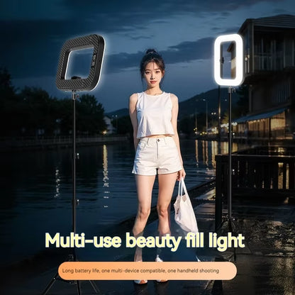 LumiFrame pro